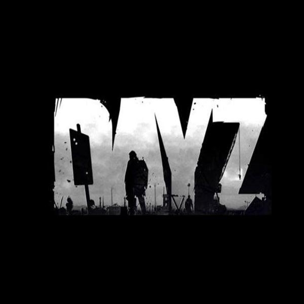 Изображение: Аккаунт с игрой DayZ Deluxe Edition + родная почта