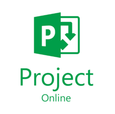 Изображение: Project 2021 Professional (Phone/web)