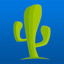 Изображение: Cactus VPN | cactusvpn.com до 2024 (минимум до июля)