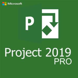 Изображение: Ключ MICROSOFT PROJECT 2019 - С ПРИВЯЗКОЙ К УЧЕТКЕ MS. 